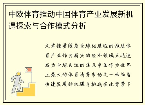 中欧体育推动中国体育产业发展新机遇探索与合作模式分析